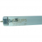 Лампа PHILIPS UV-C TUV T8 55W G55 - 1
